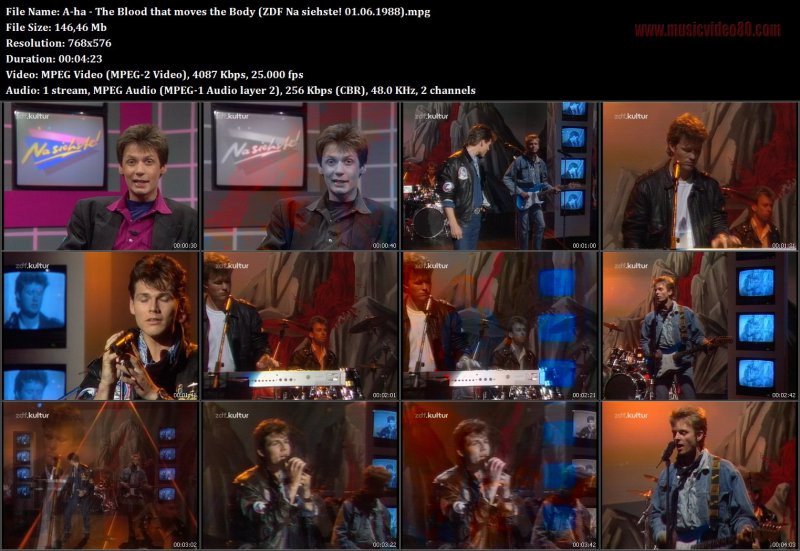 A-ha - The Blood that moves the Body (ZDF Na siehste! 01.06.1988) 