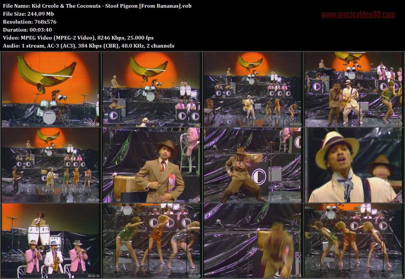 Kid Creole & The Coconuts - Stool Pigeon  