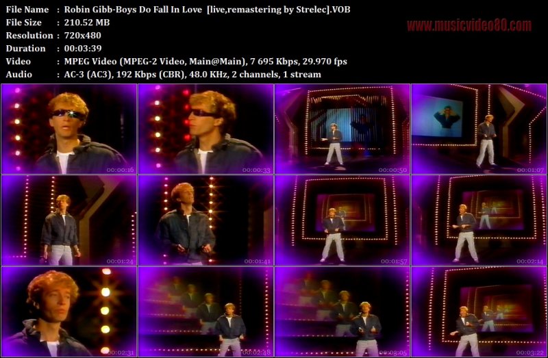 Robin Gibb - Boys Do Fall In Love  