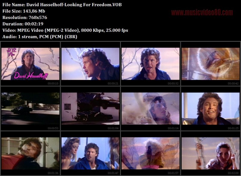 David Hasselhoff  -Looking For Freedom 