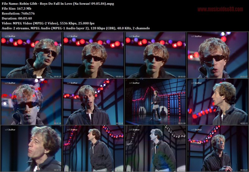 Robin Gibb - Boys Do Fall In Love (Na Sowas! 09.05.84)
